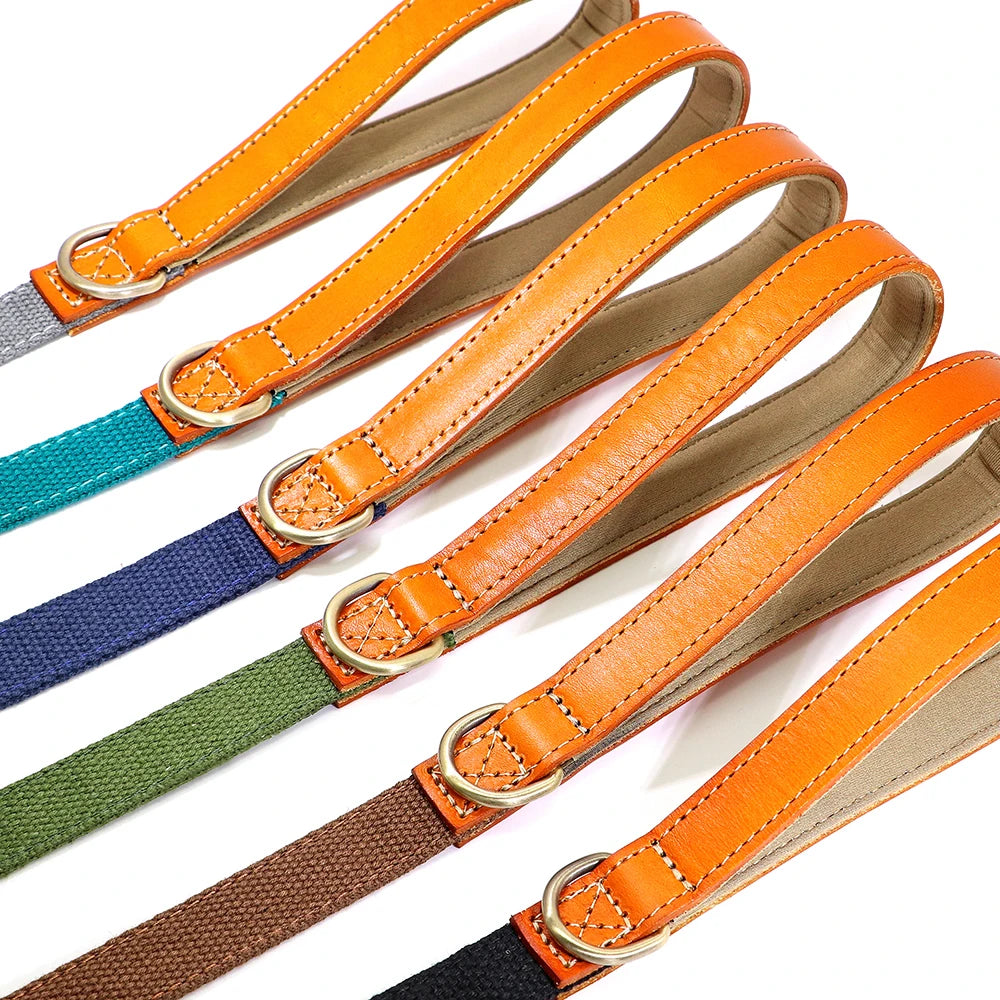 Laisse de marche nylon - chien