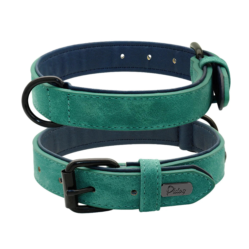 Collier en cuir rembourré – chien