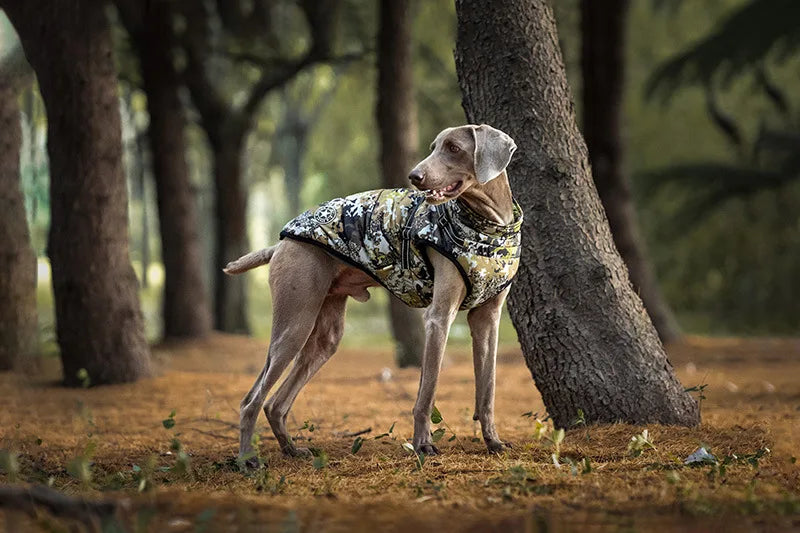 Manteau d’hiver hydrofuge pour chien