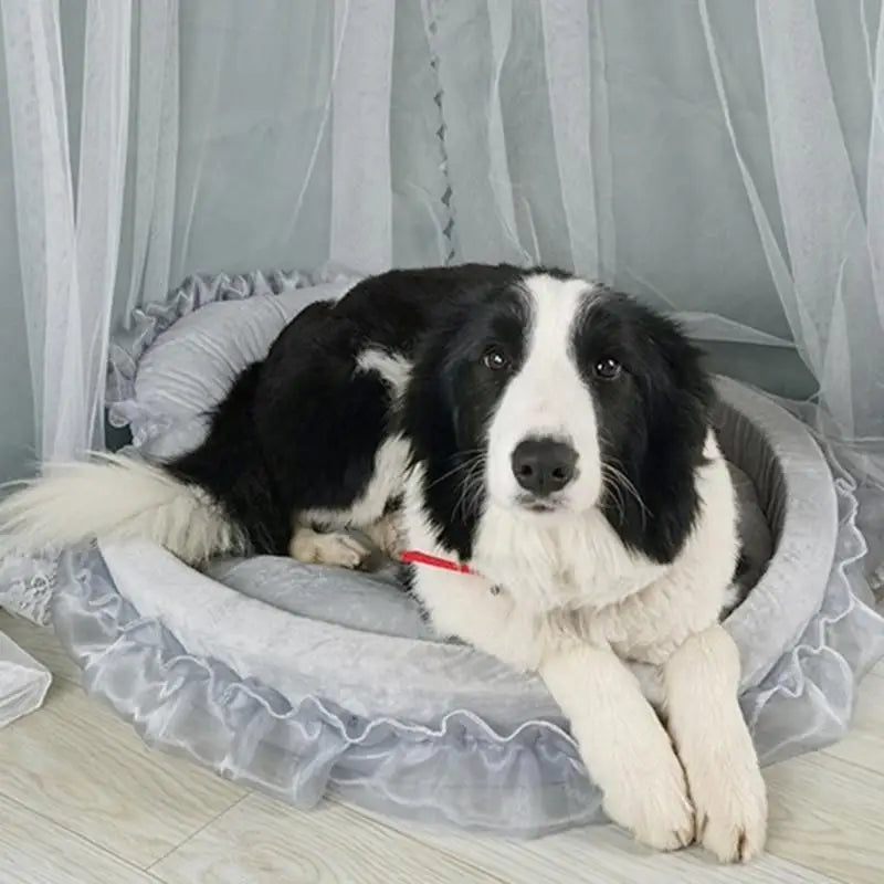 Lit pour chien et chat style princesse en dentelle