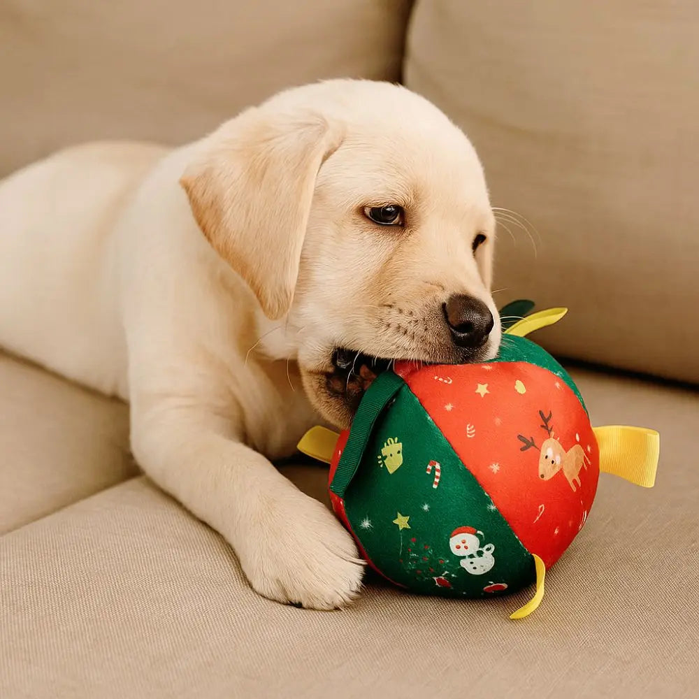 Balle de Noël grinçante pour chien & chat