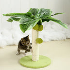 Griffoir palmier pour chat avec balle suspendue