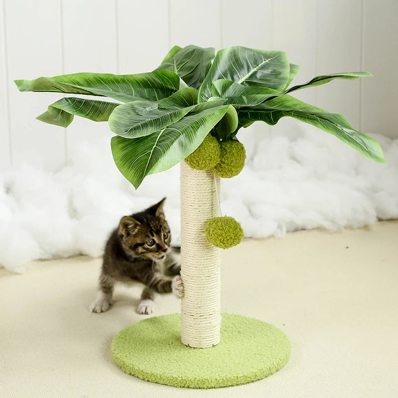 Griffoir palmier pour chat avec balle suspendue
