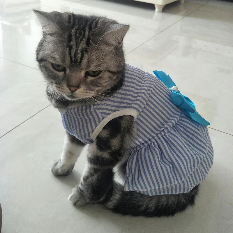 Robe d’été rayée pour chat