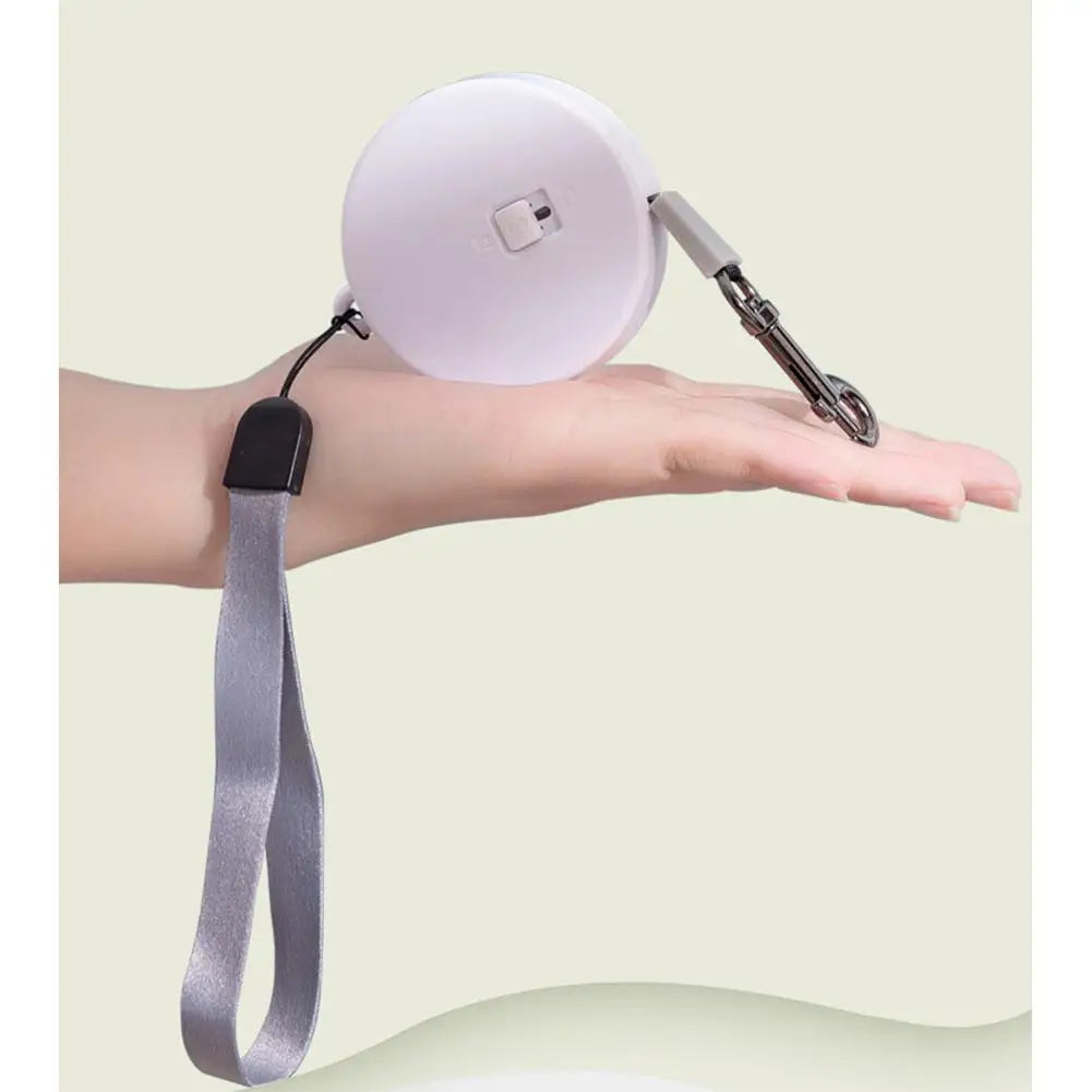 Laisse Rétractable Mini 2 m / 3 m pour Petit Chien, Chat et Chiot