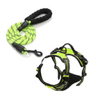 Harnais confort anti-traction avec laisse - chien