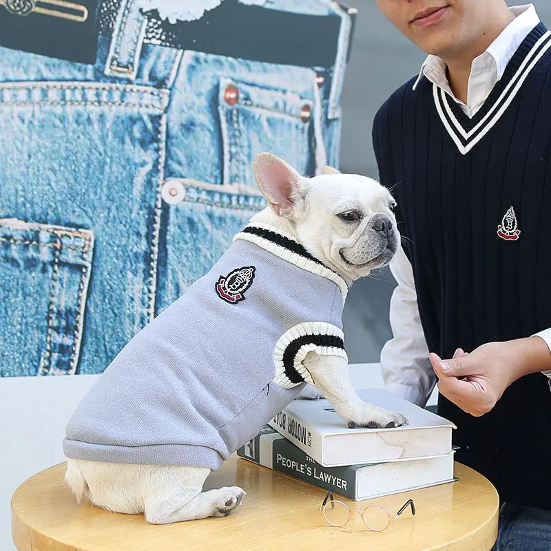 Pull d’hiver col V style collège - chien et chat