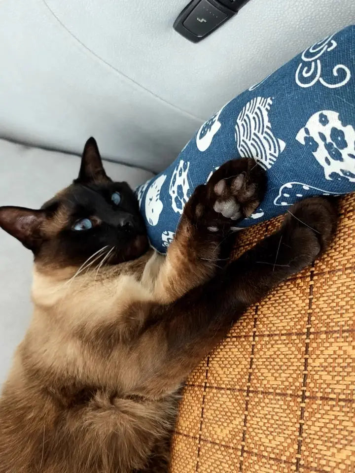 Tapis d’Été en Rotin avec Traversin