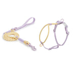 Ensemble Harnais et Laisse Sans Traction PVC pour Chien