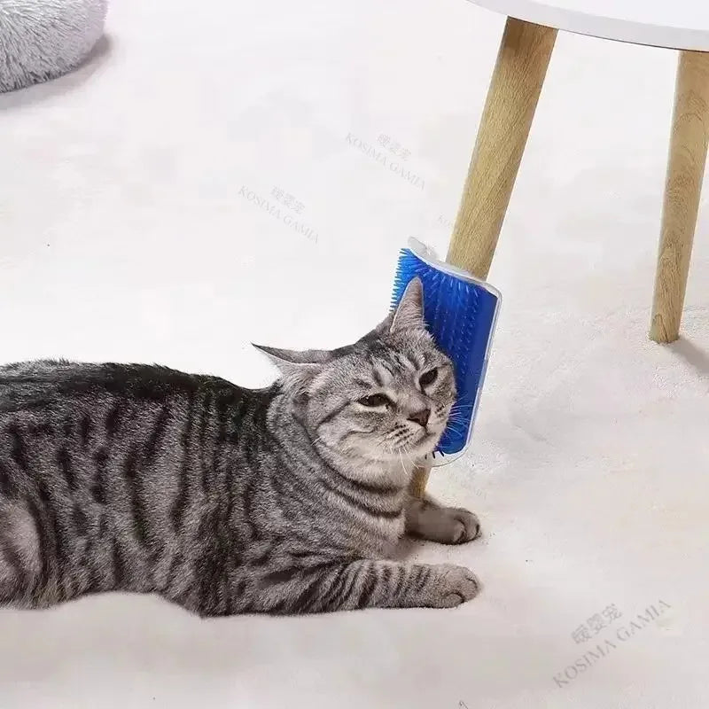 Brosse murale auto-toilettage pour chat