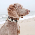 Collier bohème ethnique pour chien avec pendentif