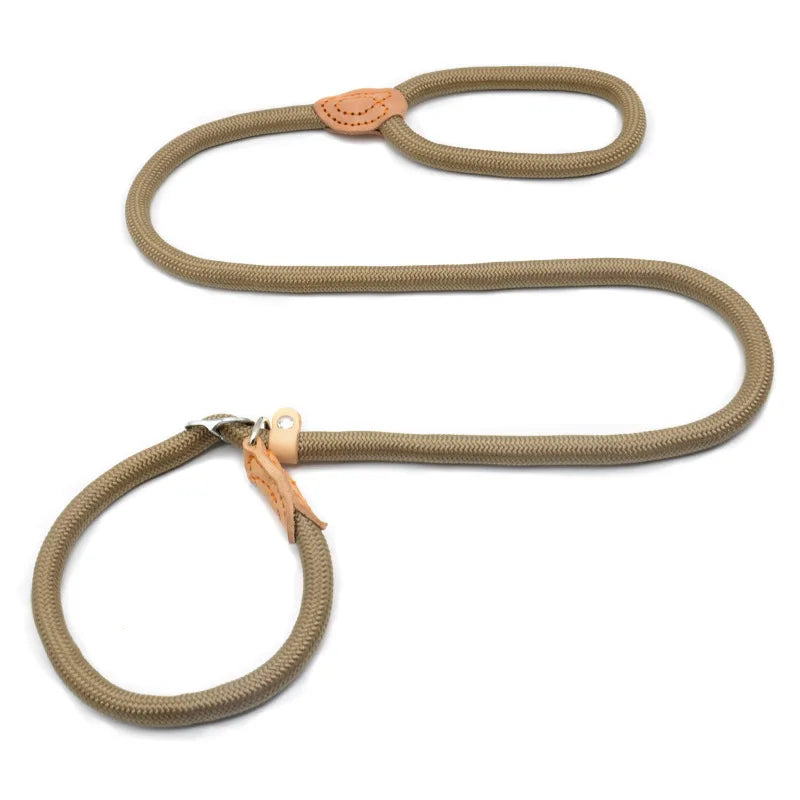 Laisse corde avec collier coulissant réglable pour chien