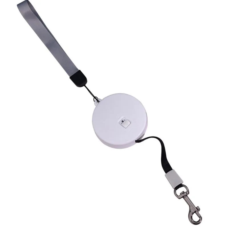 Laisse Rétractable Mini 2 m / 3 m pour Petit Chien, Chat et Chiot