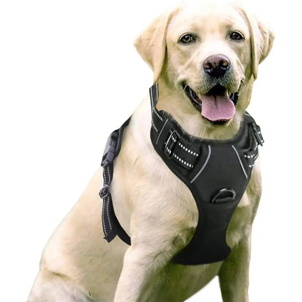 Harnais confort anti-traction avec laisse - chien