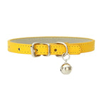 Collier en cuir pour chat et petit chien