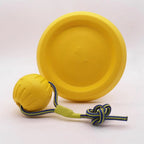 Jouet balle et frisbee - chien