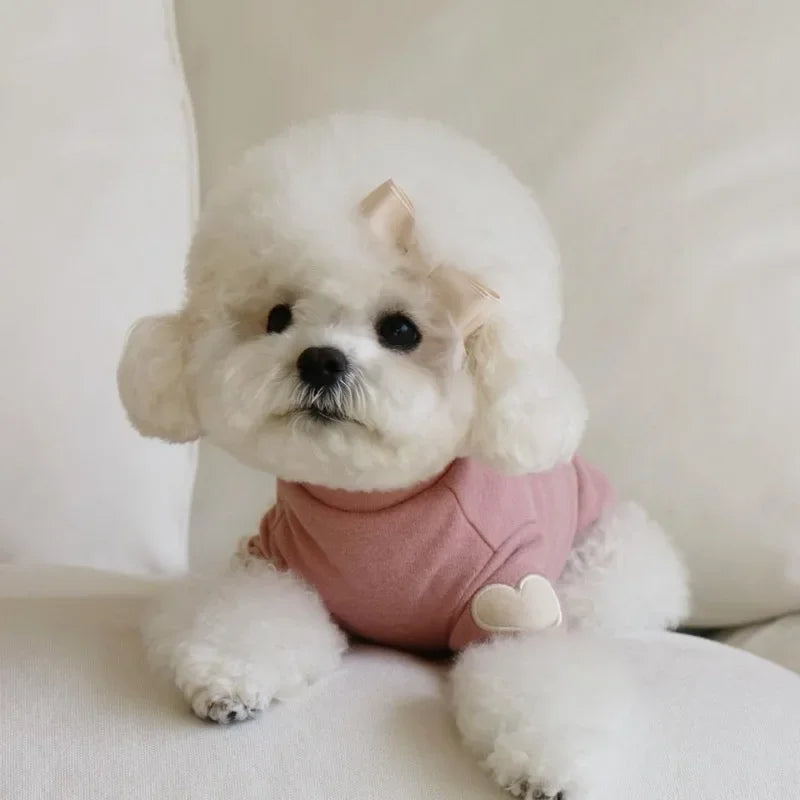 Pull chaud - chien ou chat