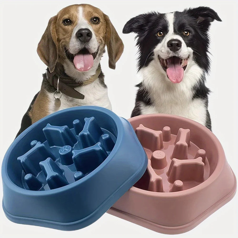 Gamelle anti-glouton antidérapante - chien ou chat