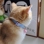Collier élastique pour chat et petit chien avec cloche amovible