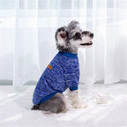 Pull classique d’hiver - chien ou chat