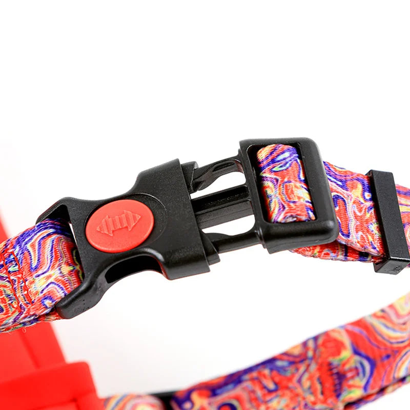 Harnais avec laisse réglable pour chien