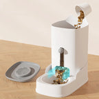 Distributeur automatique d'eau et de croquettes - chien & chat