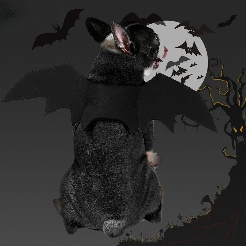 Ailes de chauve-souris Halloween - chien ou chat