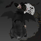 Ailes de chauve-souris Halloween - chien ou chat