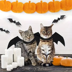 Ailes de chauve-souris Halloween - chien ou chat