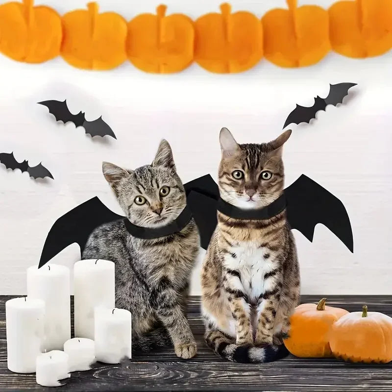 Ailes de chauve-souris Halloween - chien ou chat