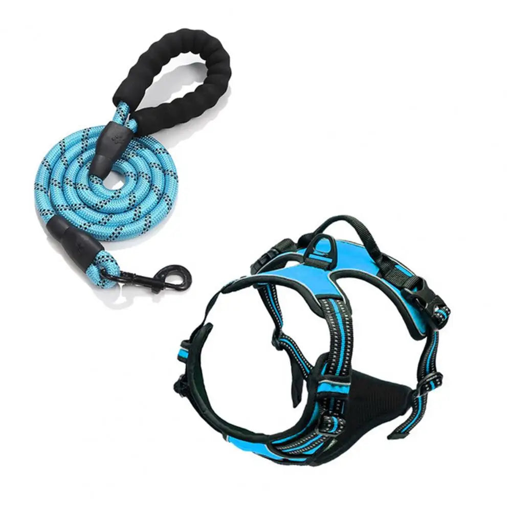Harnais confort anti-traction avec laisse - chien