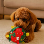 Balle de Noël grinçante pour chien & chat