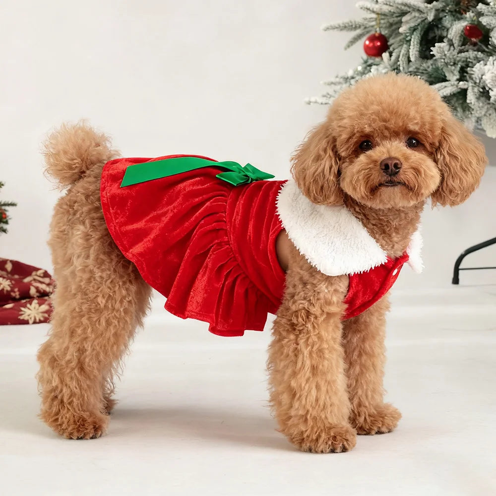 Robe de Noël pour chien & chat