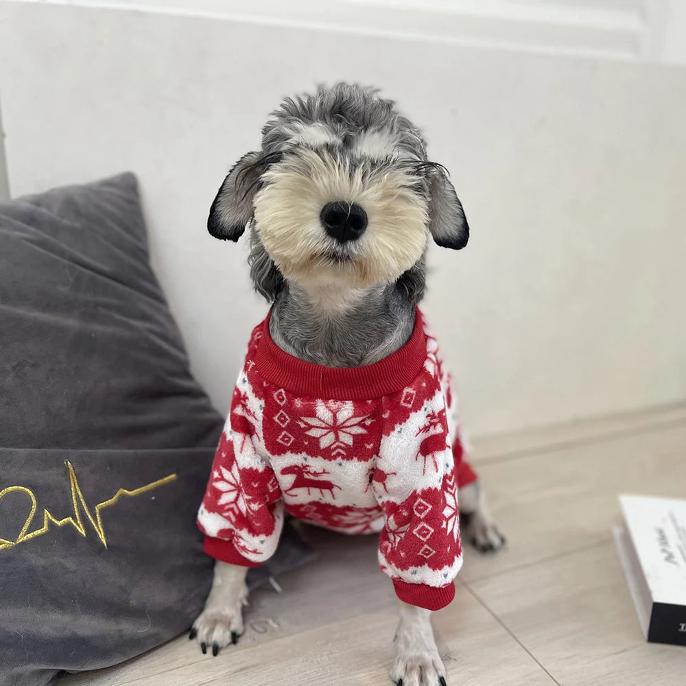 Pull de Noël chaud pour petits chiens et chats