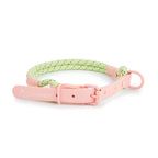 Collier ou laisse en PVC pour chien