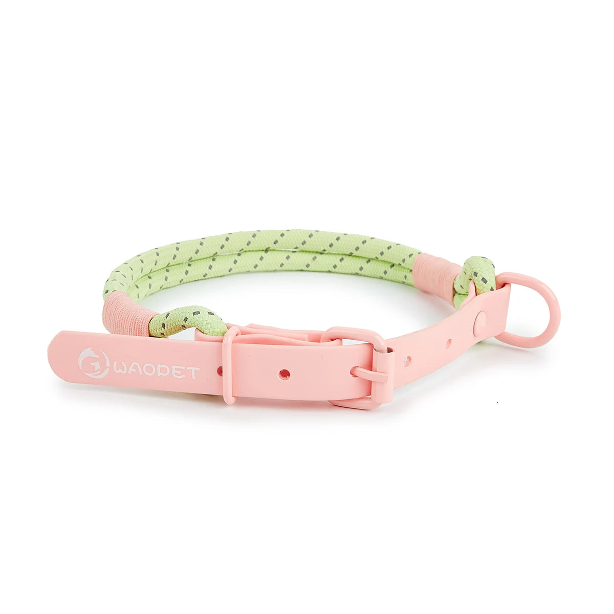 Collier ou laisse en PVC pour chien