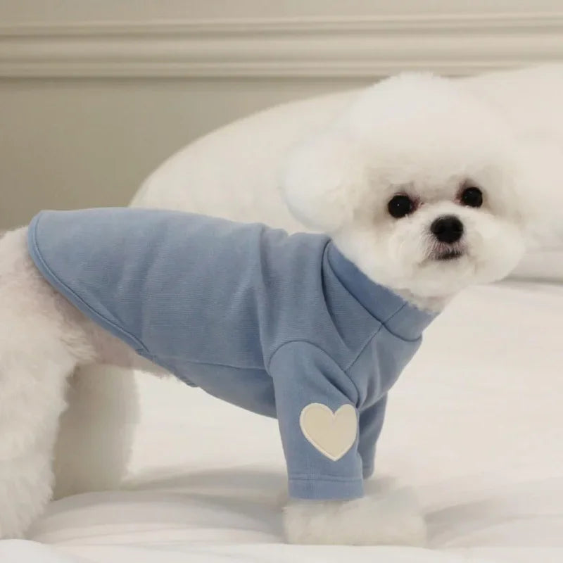 Pull chaud - chien ou chat