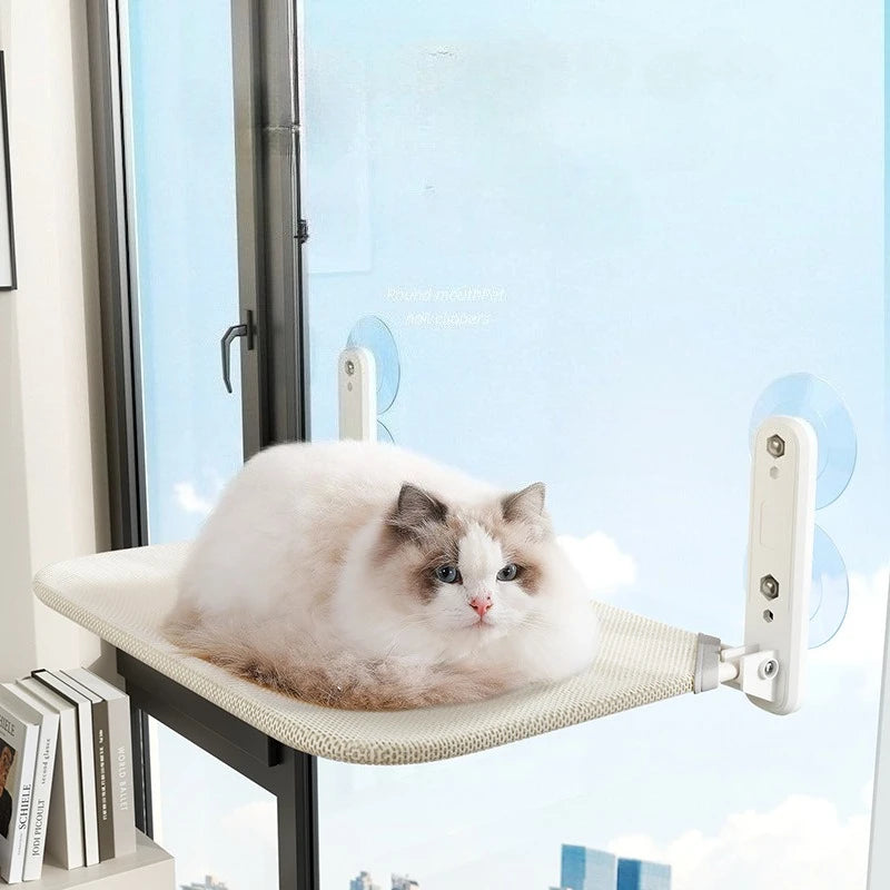 Maison suspendue - chat