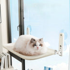 Maison suspendue - chat