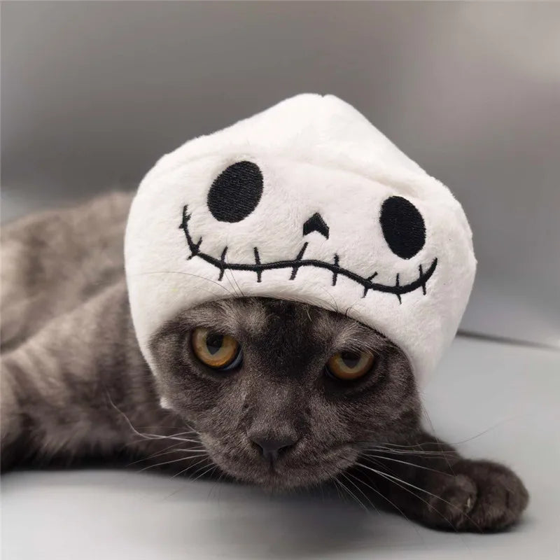 Chapeau Halloween - chat ou petit chien
