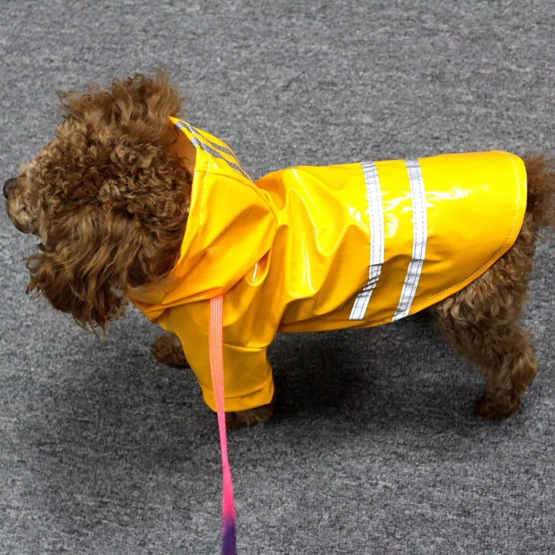 Manteau imperméable réfléchissant pour chien & chat