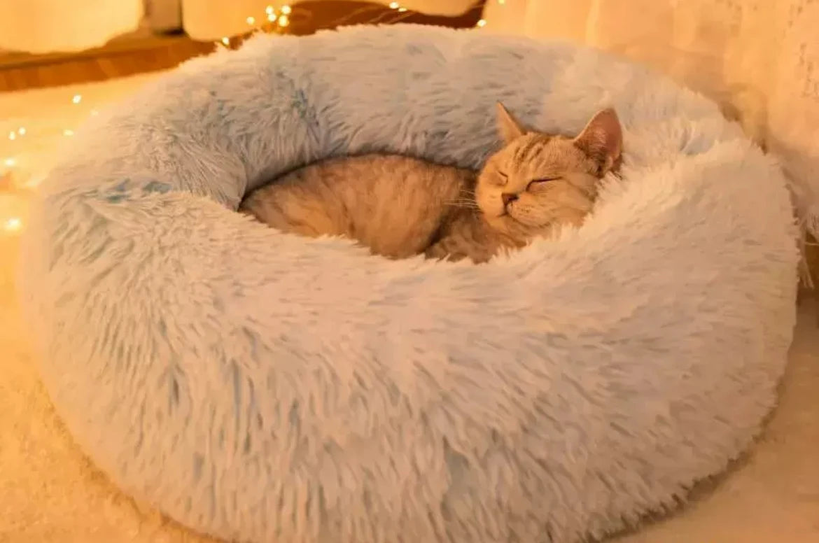 Lit rond moelleux et chaud pour chien et chat