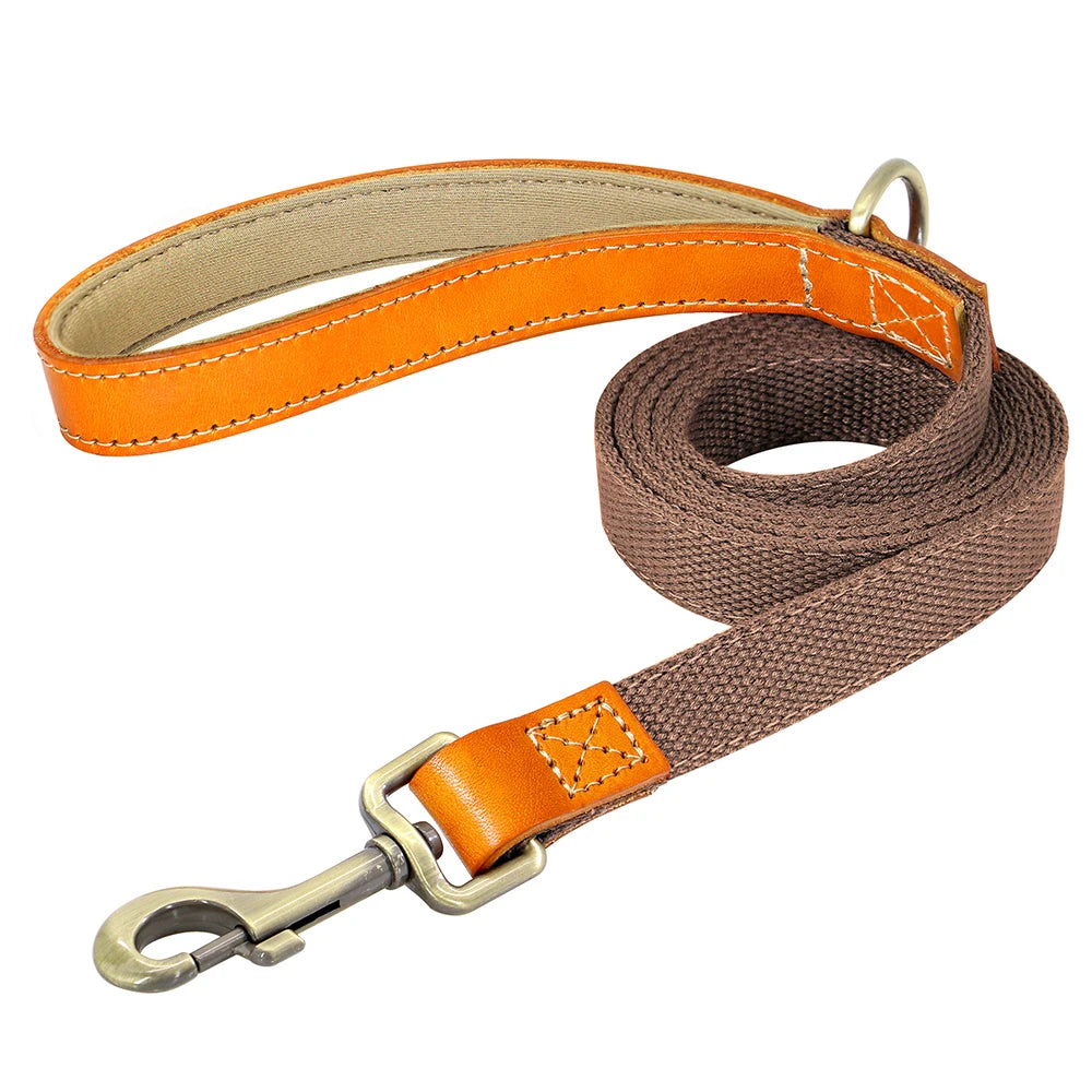 Laisse de marche nylon - chien