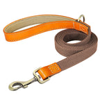 Laisse de marche nylon - chien