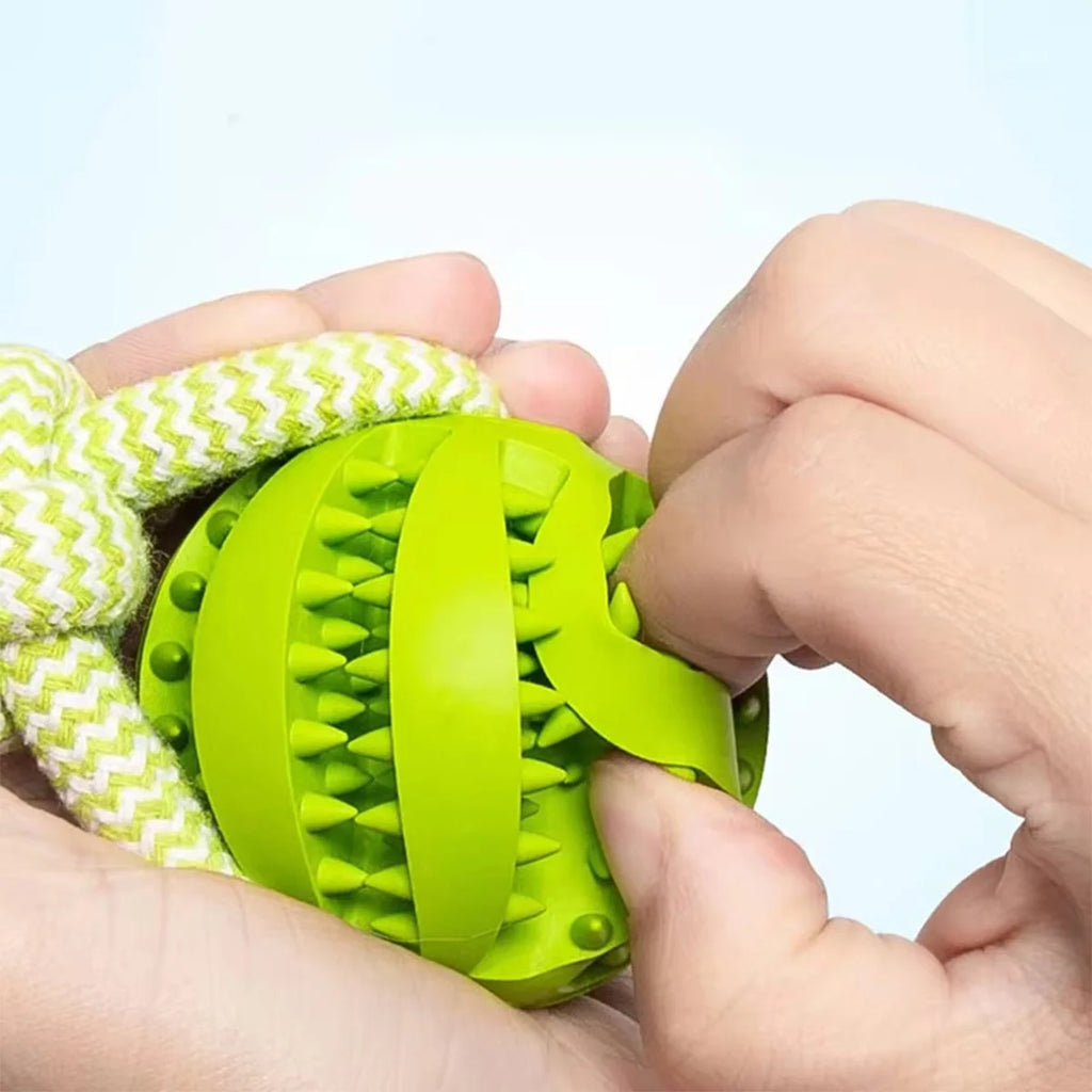 Jouet interactif à mâcher avec corde - chien