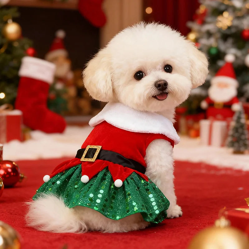 Robe de Noël festive - chien et chat