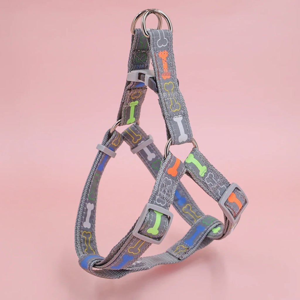Harnais motif os avec laisse - chien
