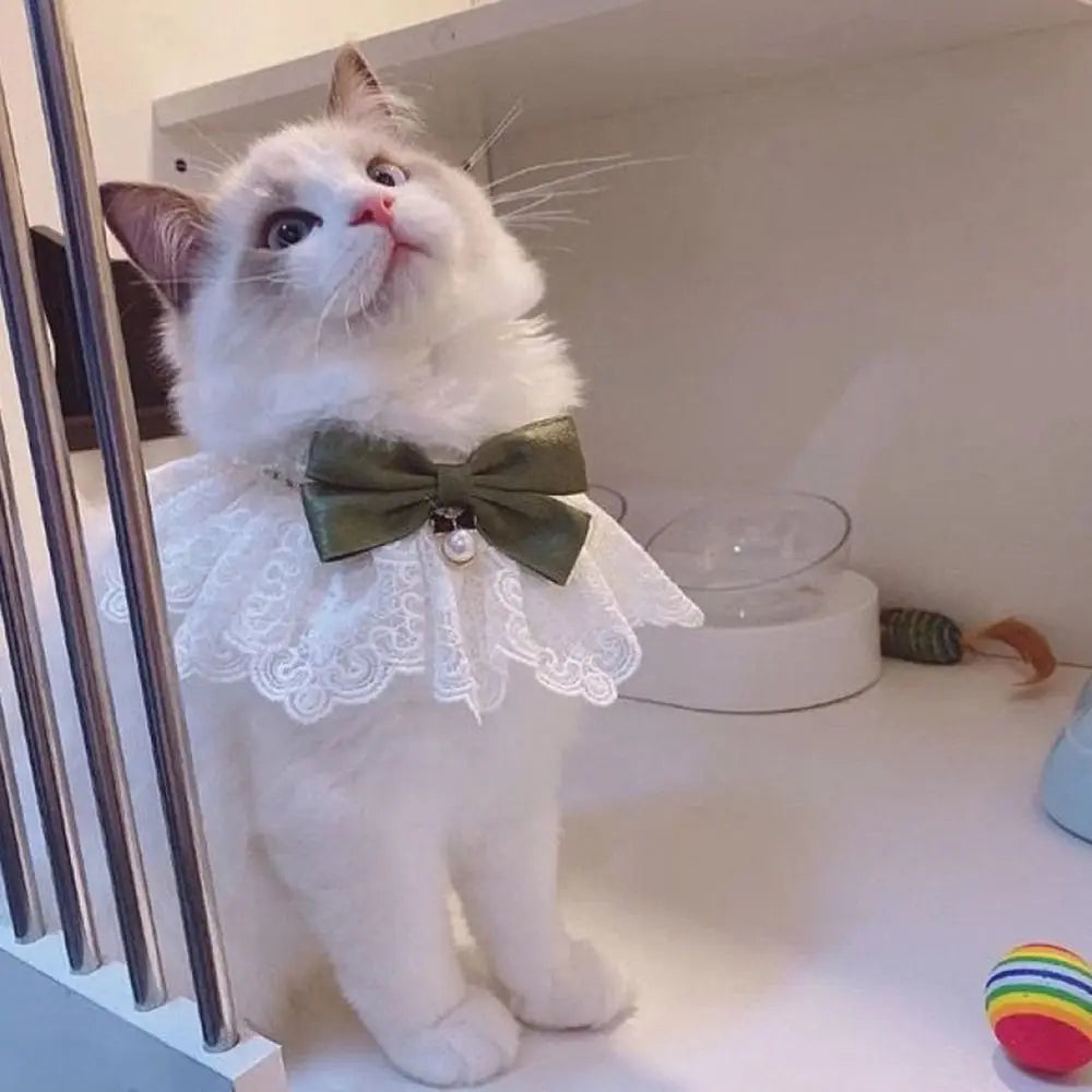 Collier dentelle nœud - chat ou petit chien