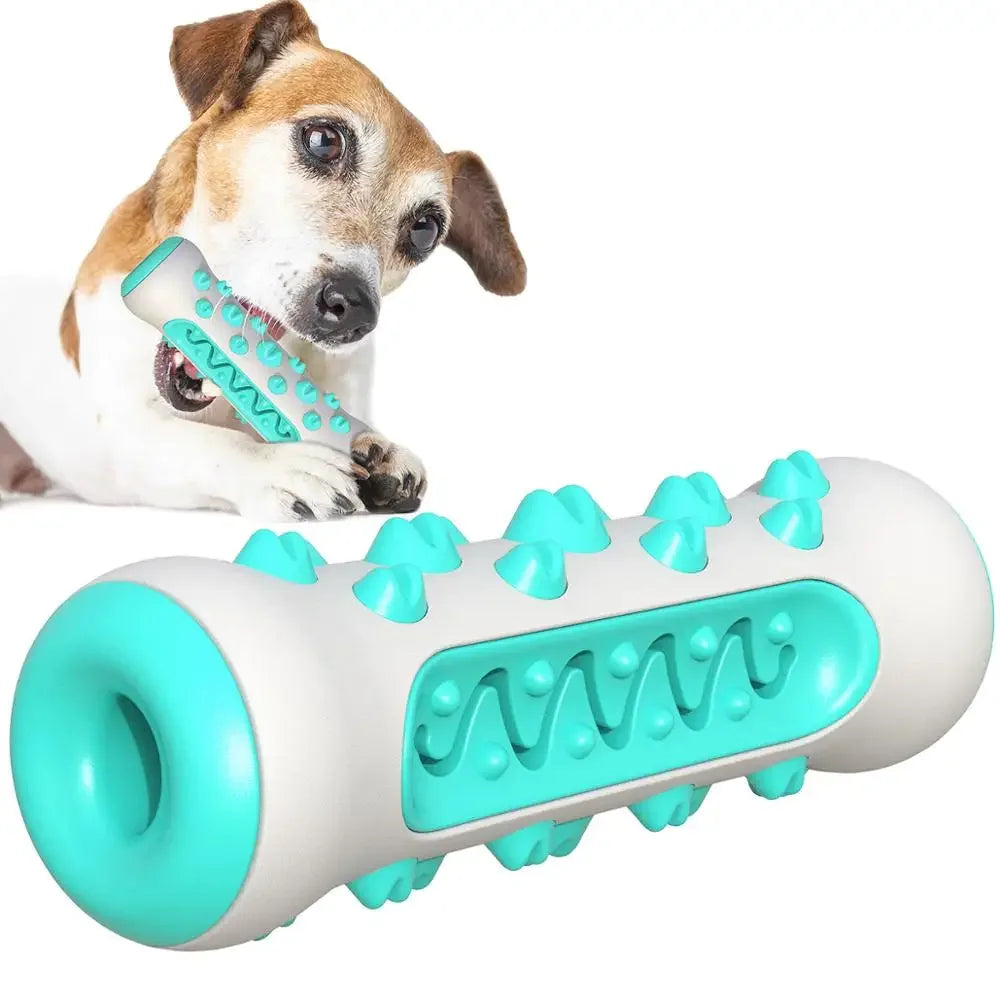 Jouet brosse à dents pour chien à mâcher
