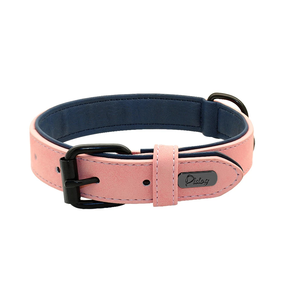 Collier en cuir respirant pour chien